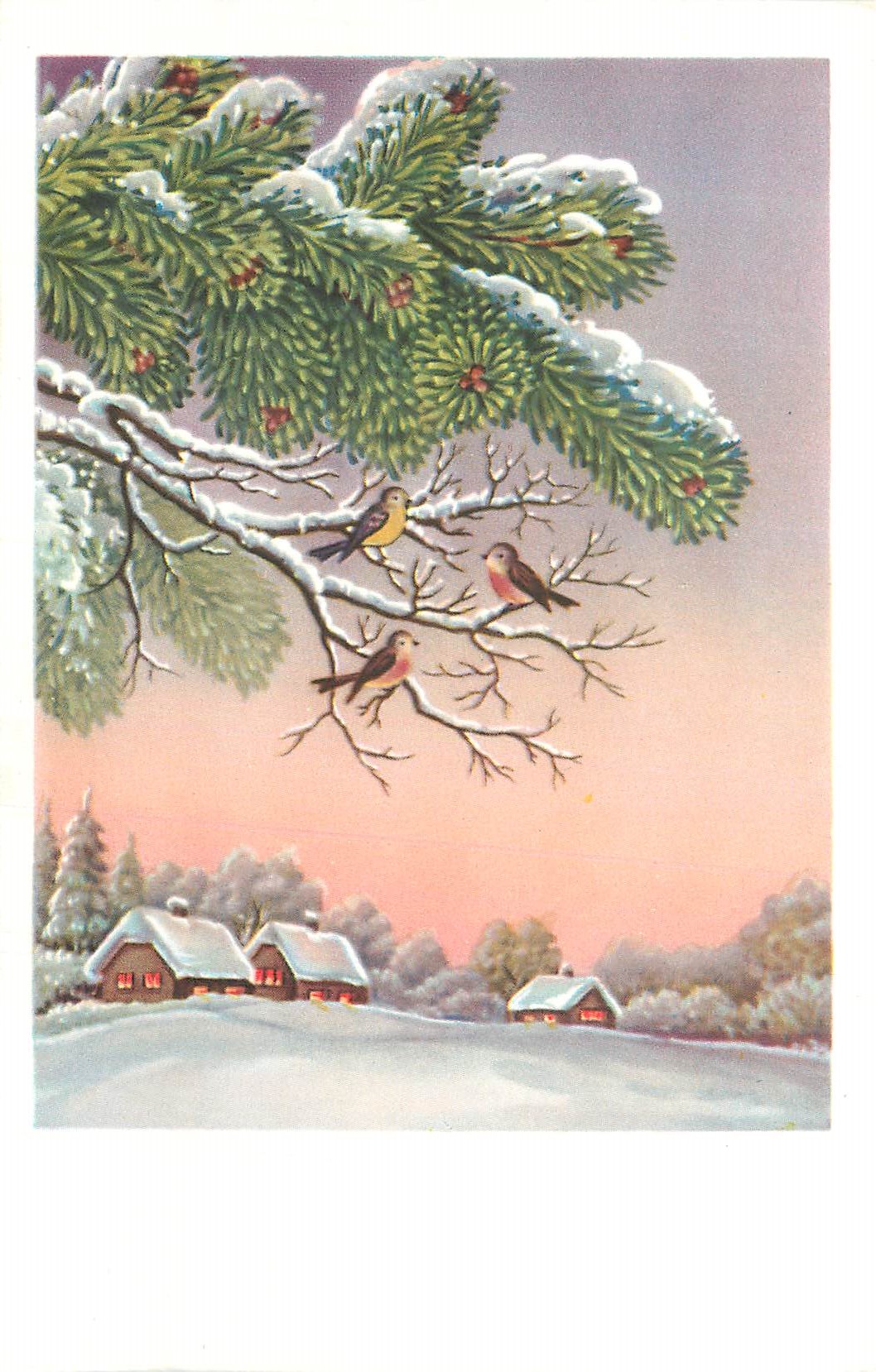 CPA Sapin Oiseaux