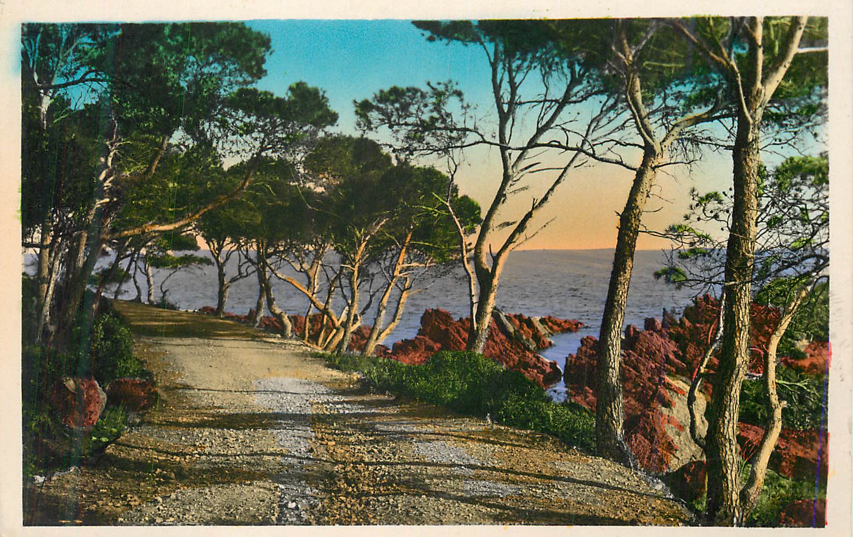 CPA La Cote d'Azur Le chemin sous les Pins