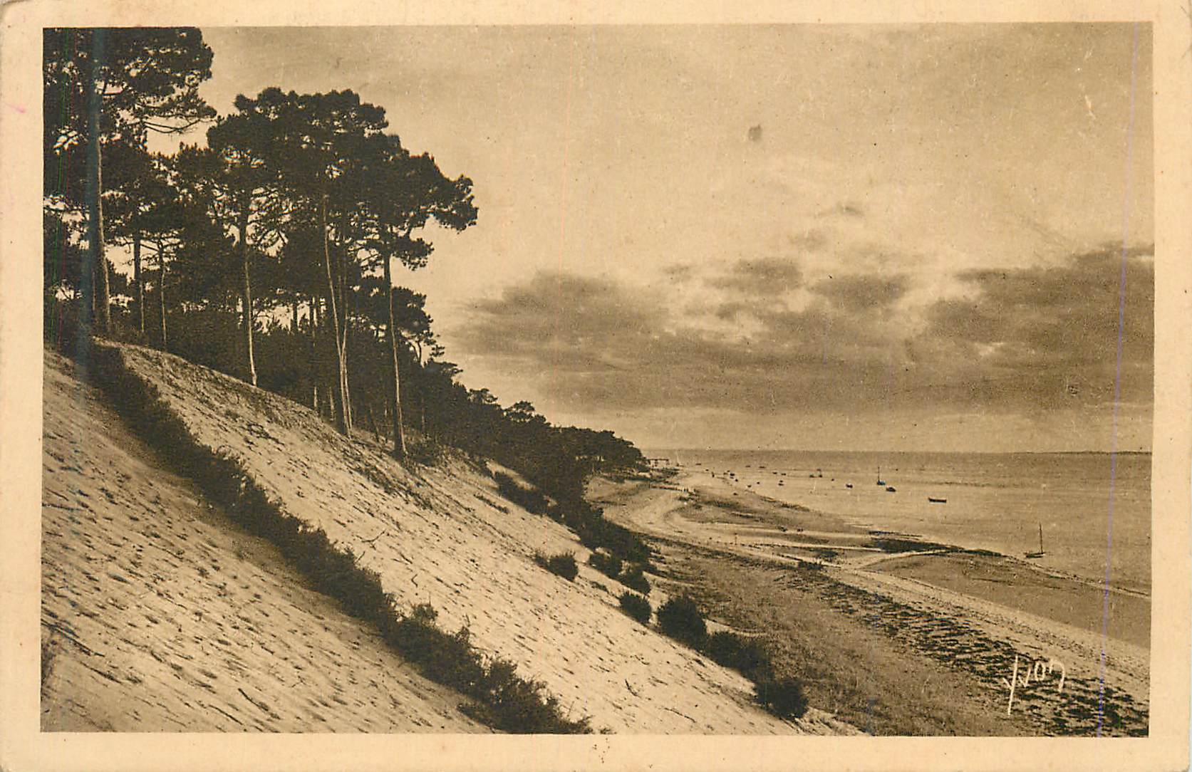 Vue de la plage de Sainte-Adresse — dunes et pins — éditeur F.107