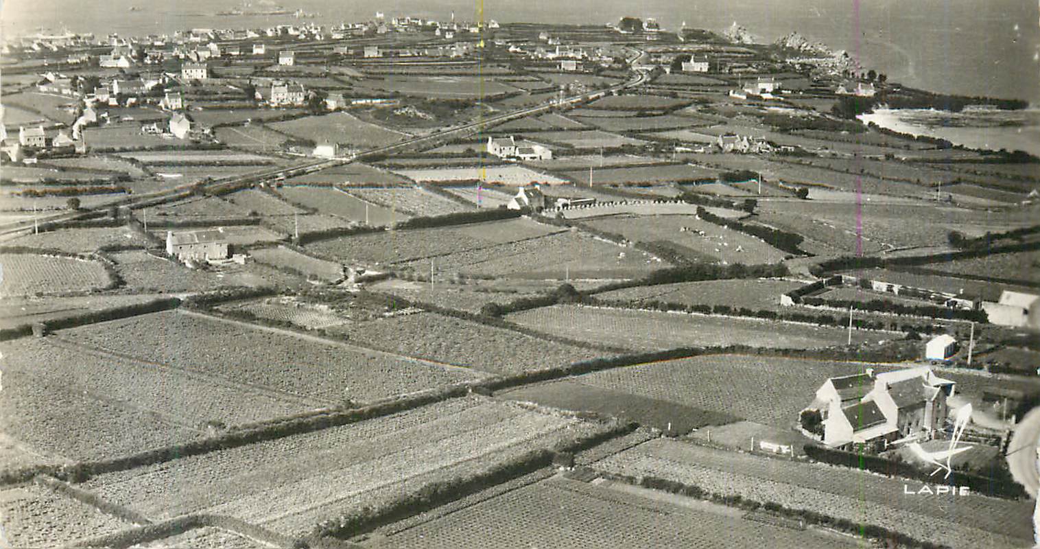 CPM Agriculture la Culture des Primeurs a Roscoff (Finistere)