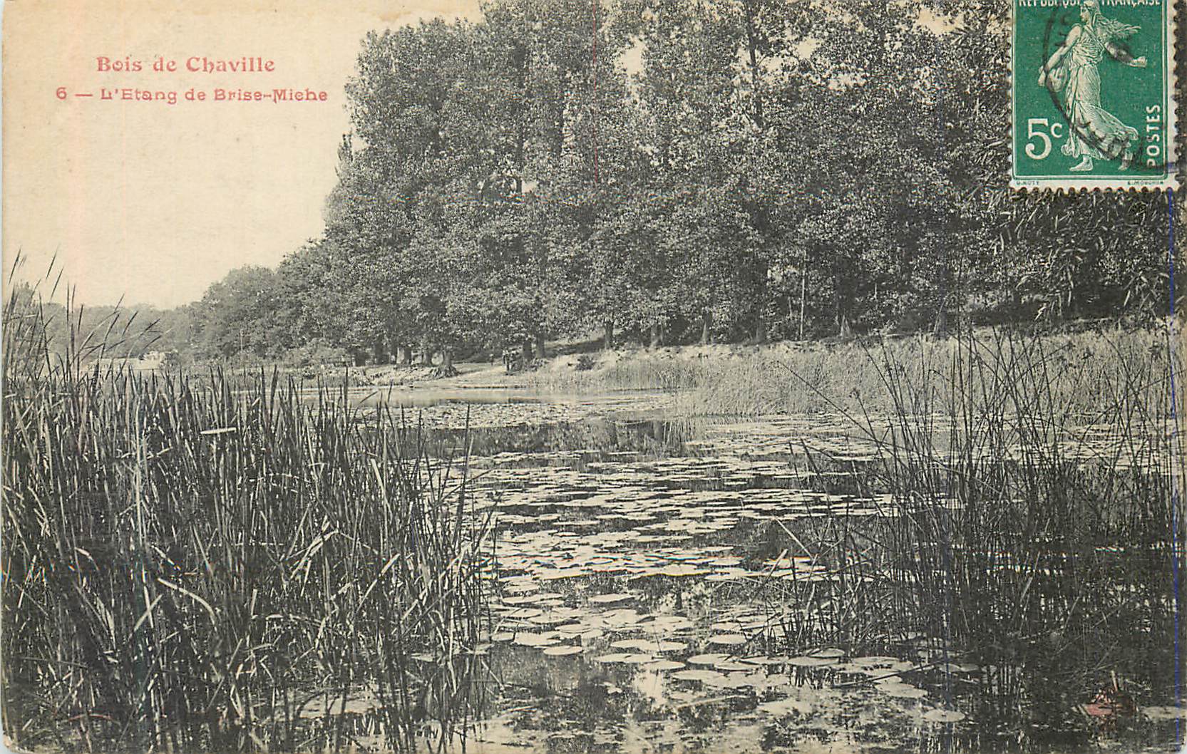 CPA Bois de Chaville L'Etang de Brise Miche