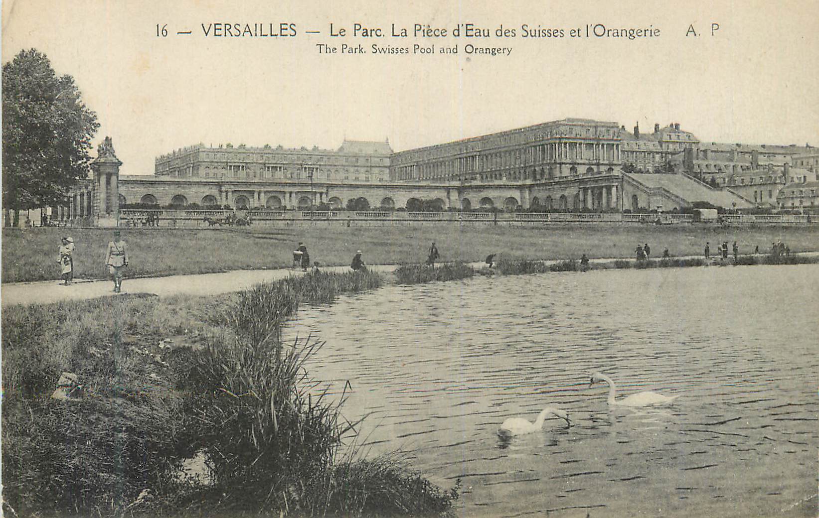 CPA Versailles Le Parc La Piece d'Eau des Suisses et l'Orangerie Cygnes