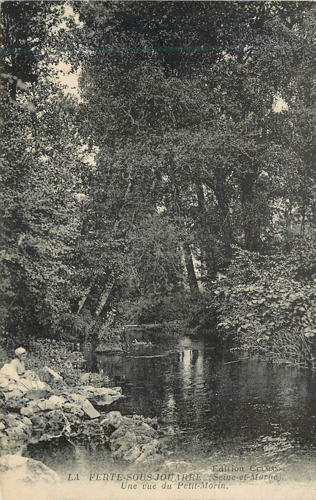CPA La Perte Sous Joarre (Seine et Marne) Une vue du Petit Morin