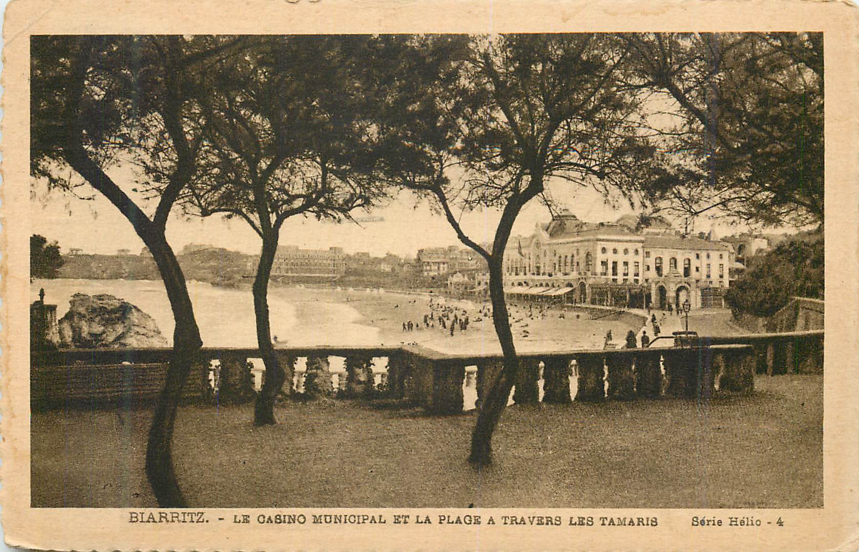Biarritz - Le Casino Municipal et la Place à travers les Tamaris - Série Hélio - 4