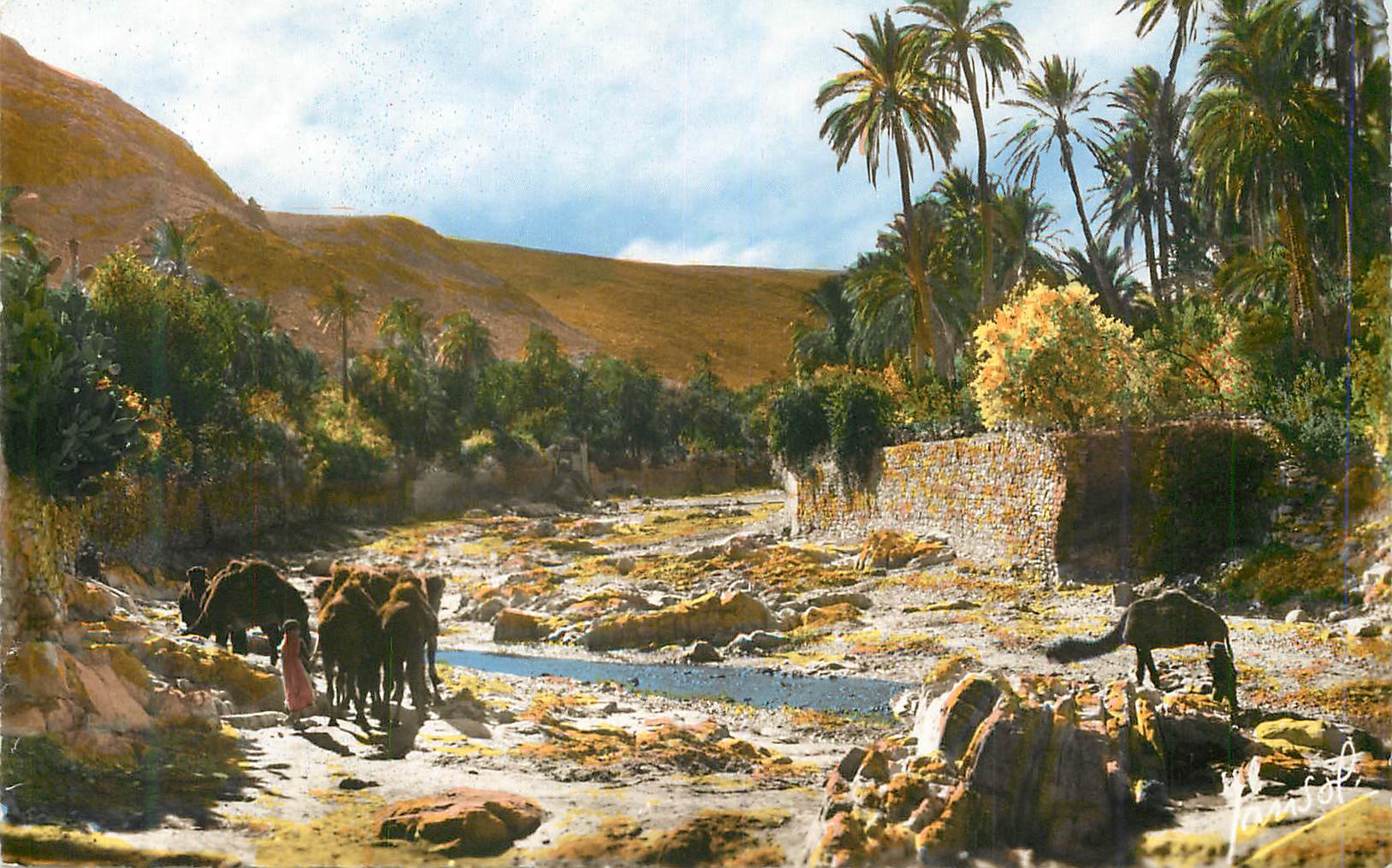 CPM Le Sud Algerien Scenes et Types Un Oued dans le Sud