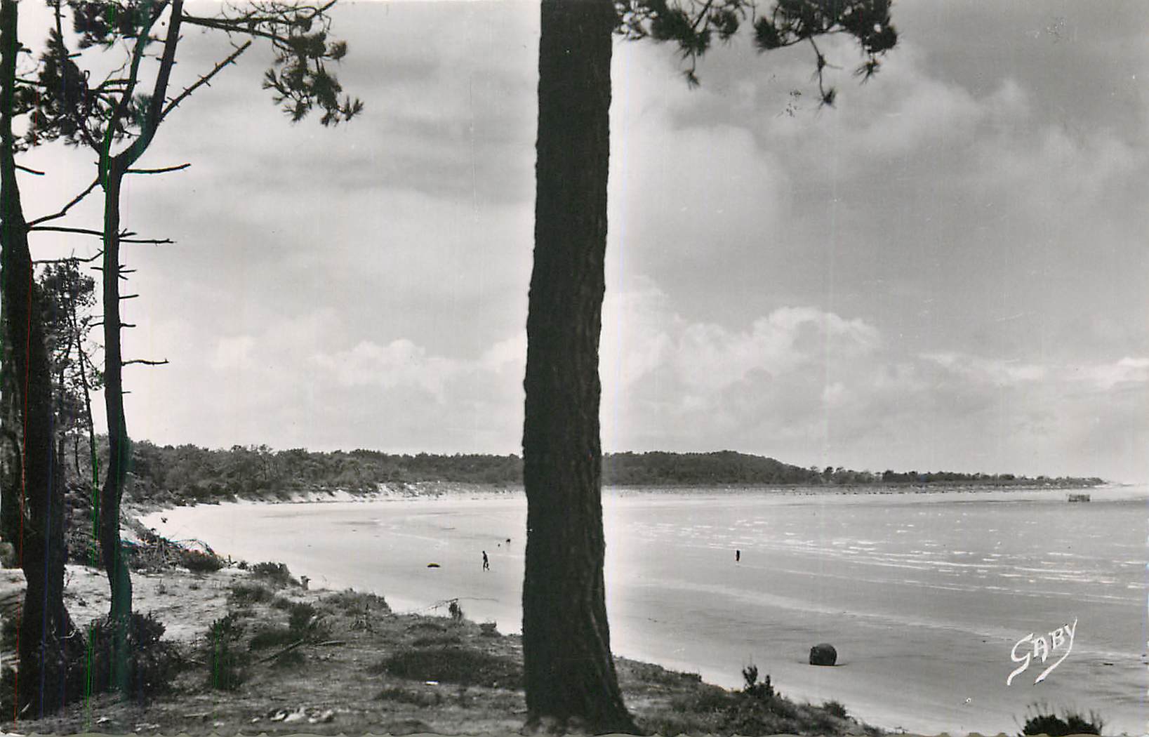 Plage de la Baie de la Forêt — vue depuis les pins — Saby