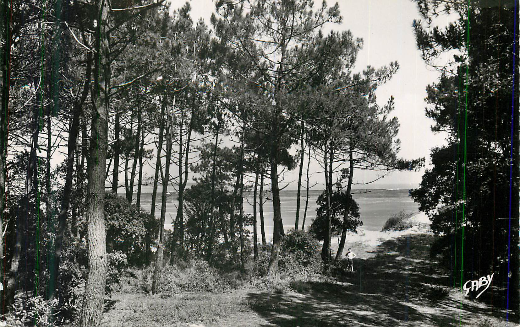 CPM Ronce les Bains (Ch Mme) La Mer vue de la Foret