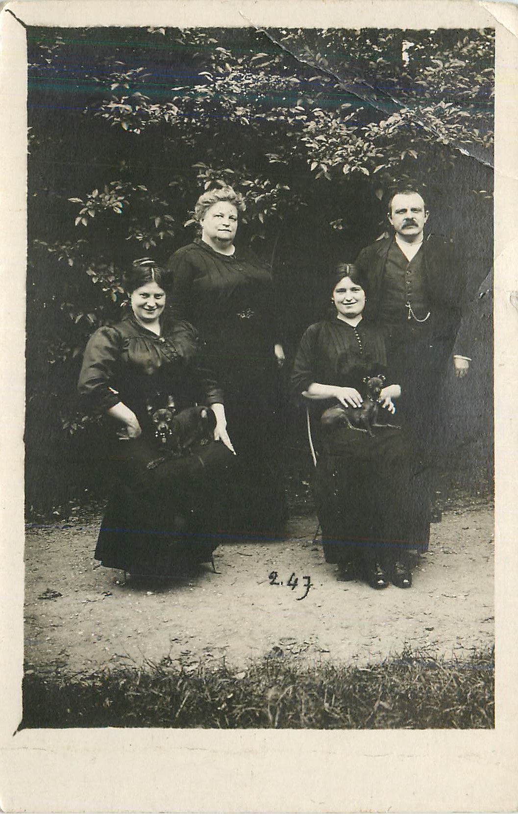 CARTE PHOTO famille Alfort
