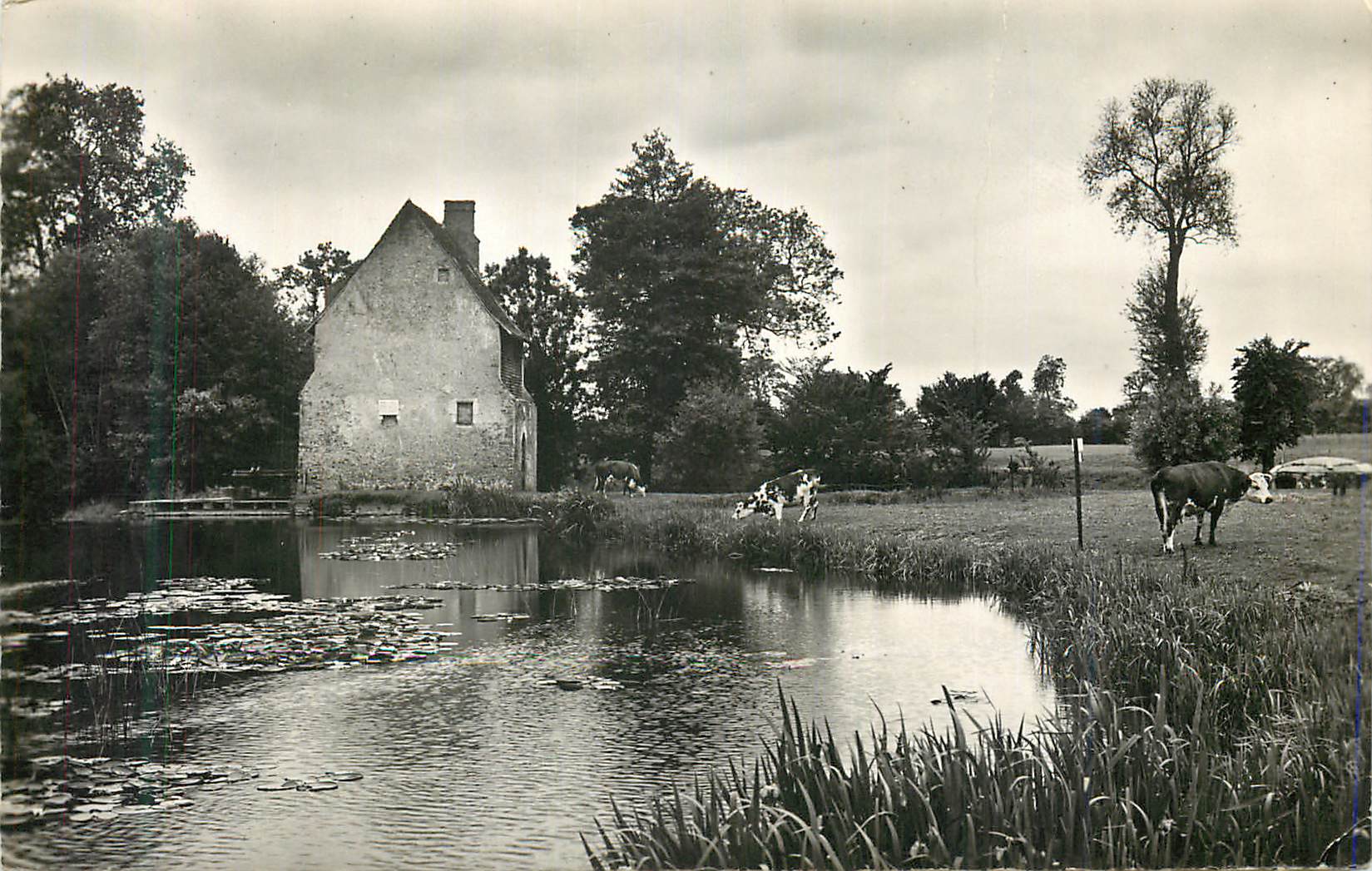 CPM Roeze (Sarthe) Moulin de la Beuneche
