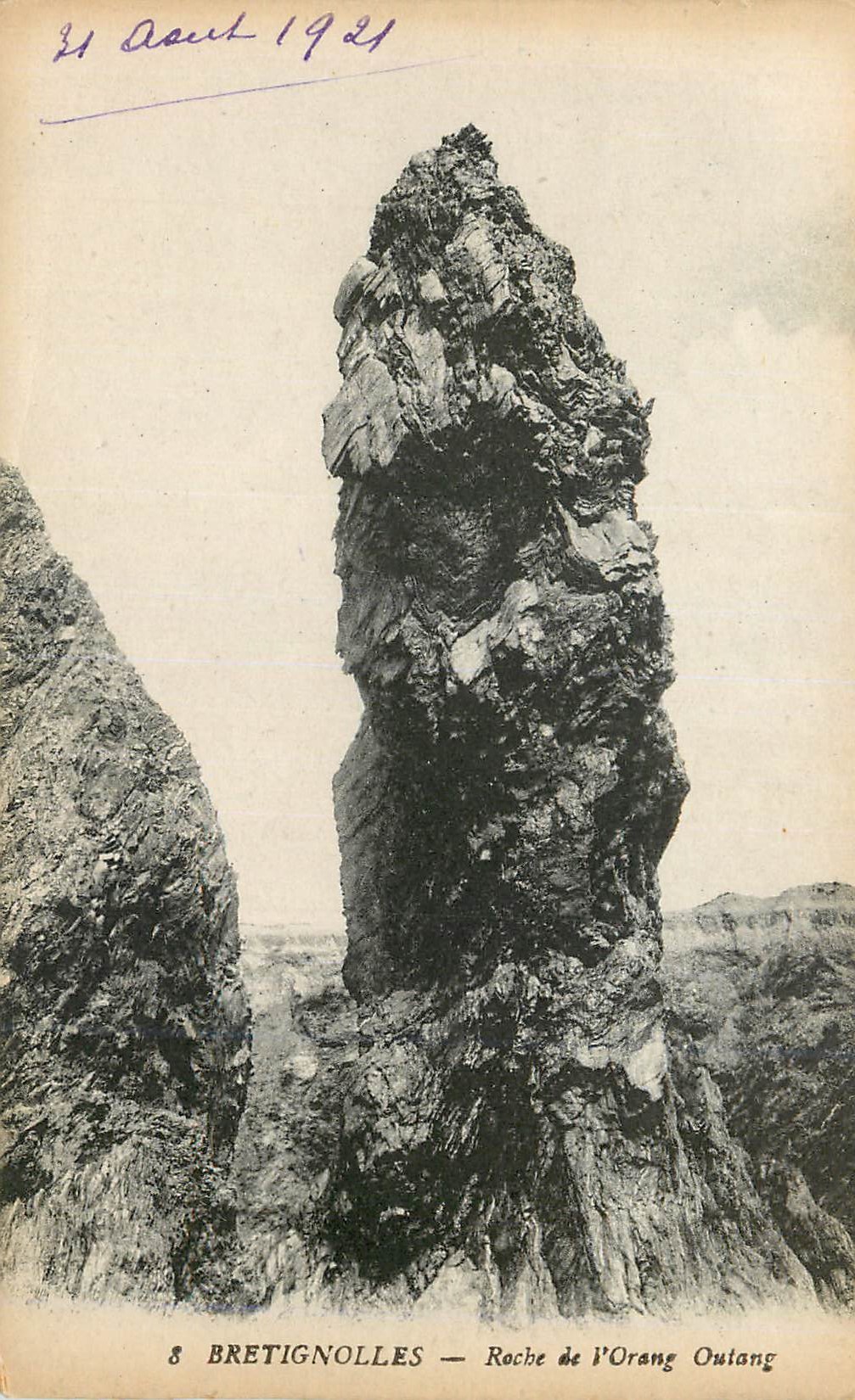 CPA Bretignolles Roche de l'Orang Outang