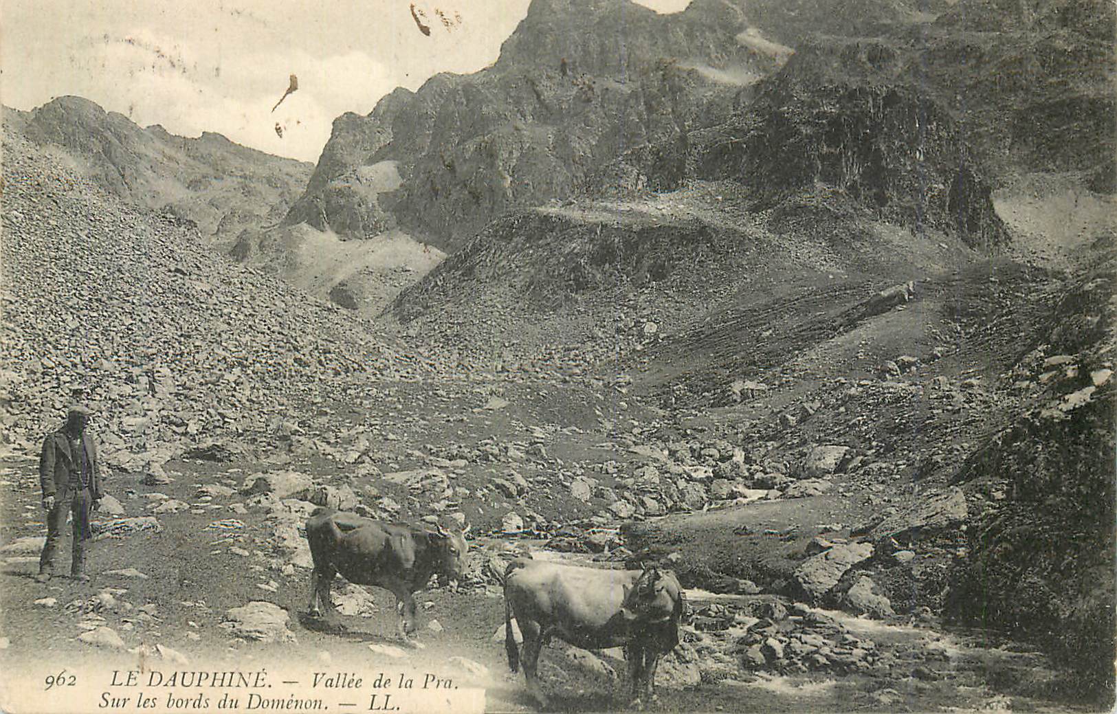 CPA Le Dauphine Vallee de la Pra Sur Les Bords du Domenon Vaches