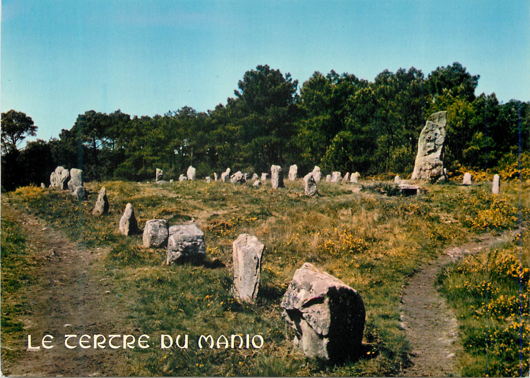 Le Tertre du Manio — Alignements de menhirs — Carte postale ancienne
