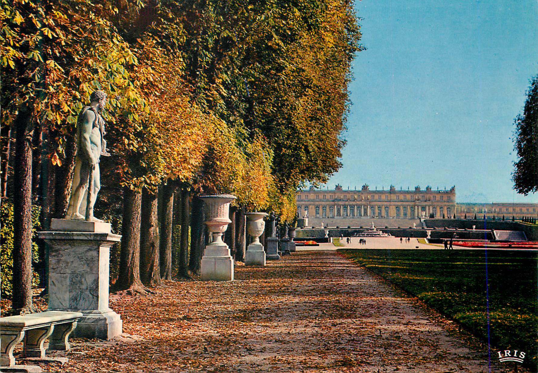 CPM Versailles (S et O) Le Tapis vert et le Chateau