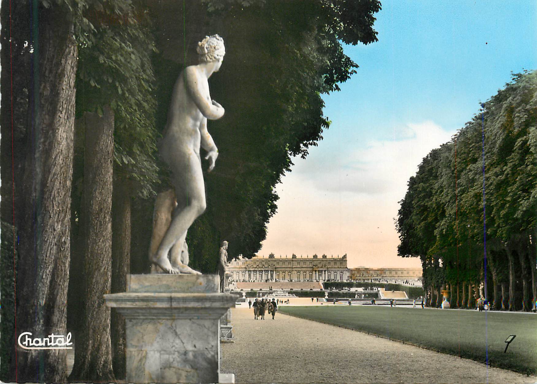 CPM Versailles Le Tapis Vert Perspective vers le Chateau