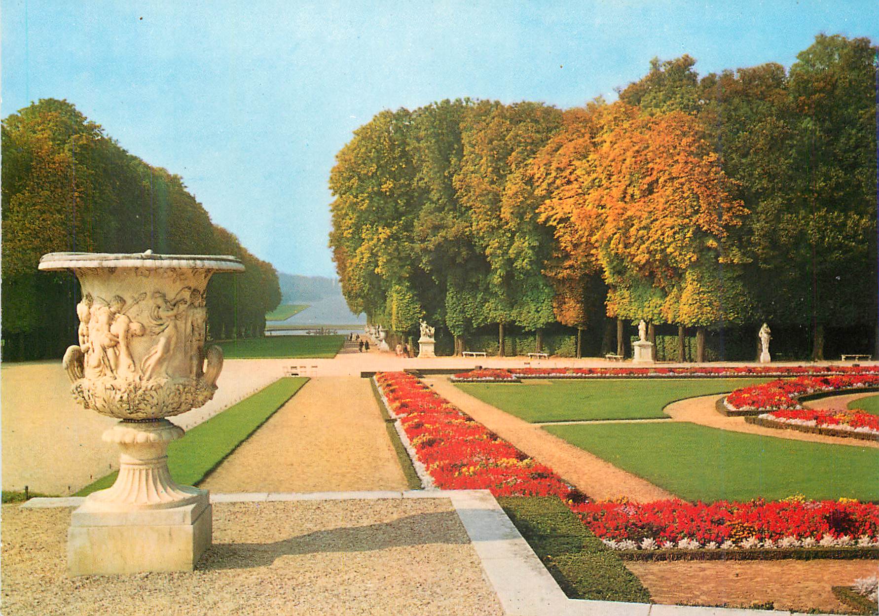 CPM Versailles Le Parc Parterres de Latone
