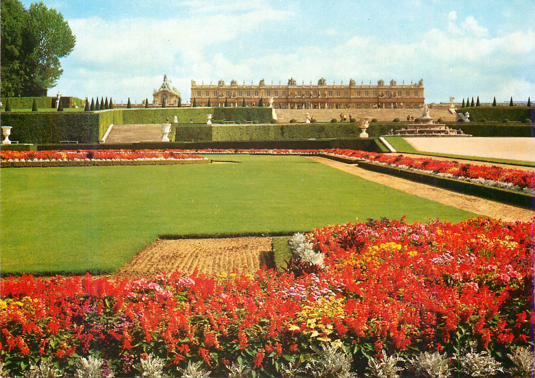 CPM Versailles Le Parc Parterres de Latone