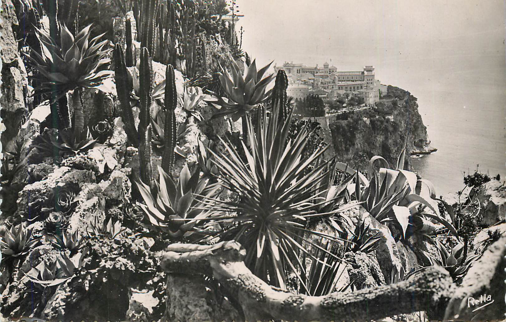 CPM Le Rocher de Monaco vu du Jardin Exotique La Cote d'Azur