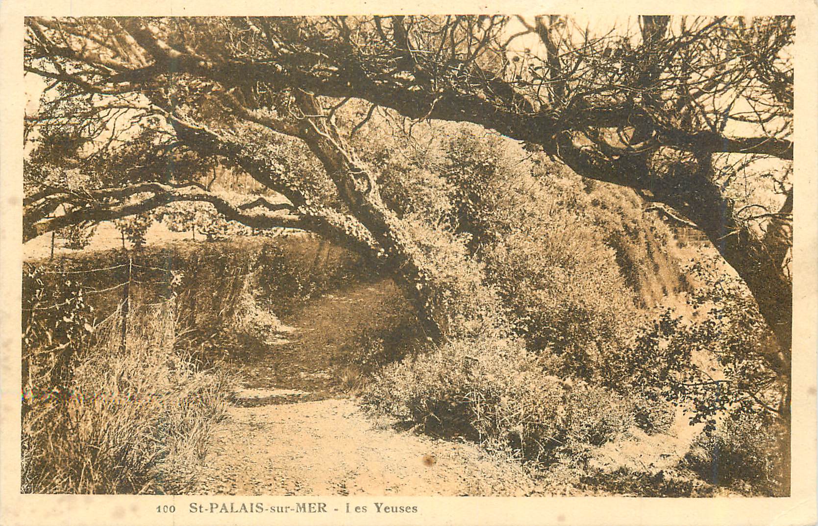 St-Palais-sur-Mer — Les Yeuses — éditeur inconnu, n° 400