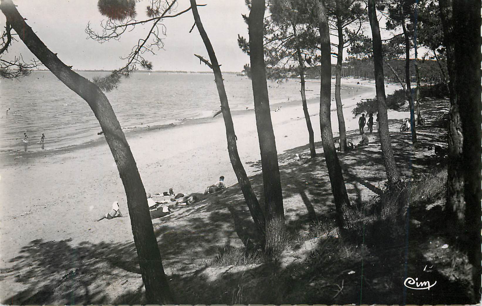 CPM Ronce Les Bains (Charente Maritime) La Plage de la Cepe