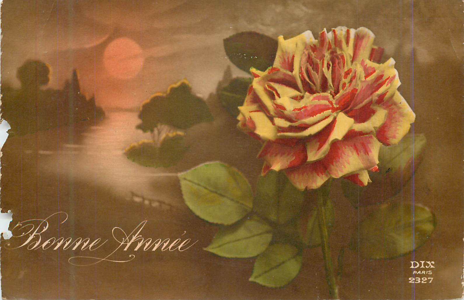 CPA Fleurs