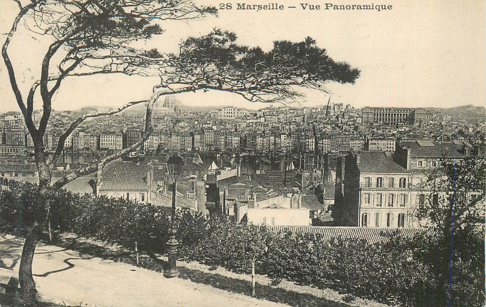 CPA Marseille Vue Panoramique