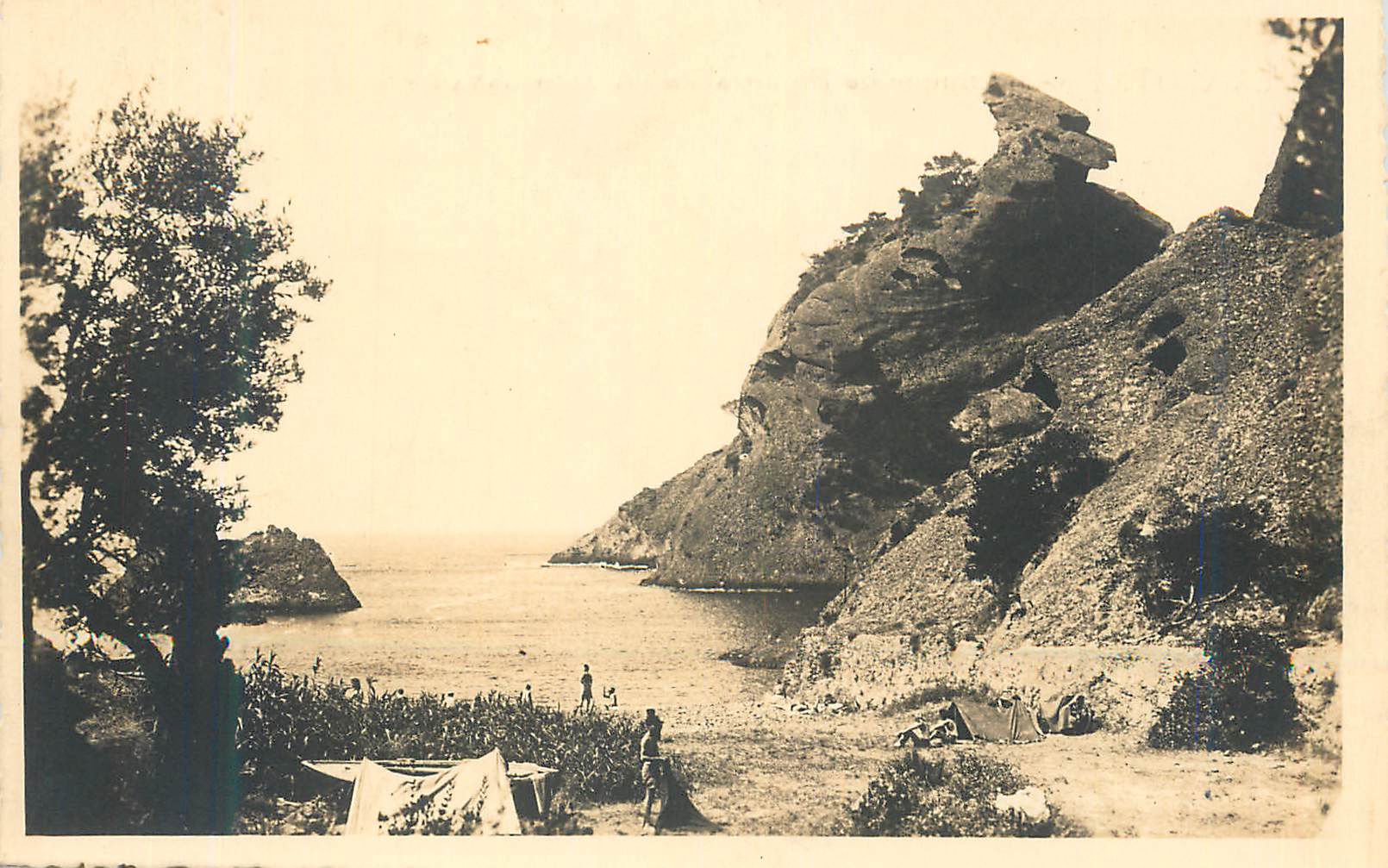 CPM La Ciotat Calanque de Figuerolles (Photo Gavard)
