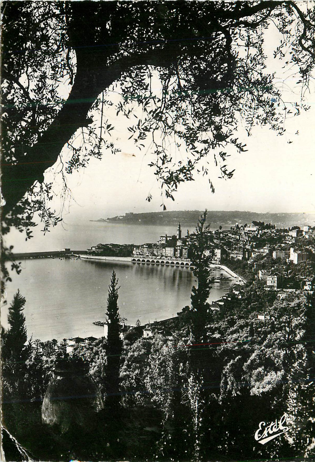 CPM Menton La Ville Vue des Colombieres