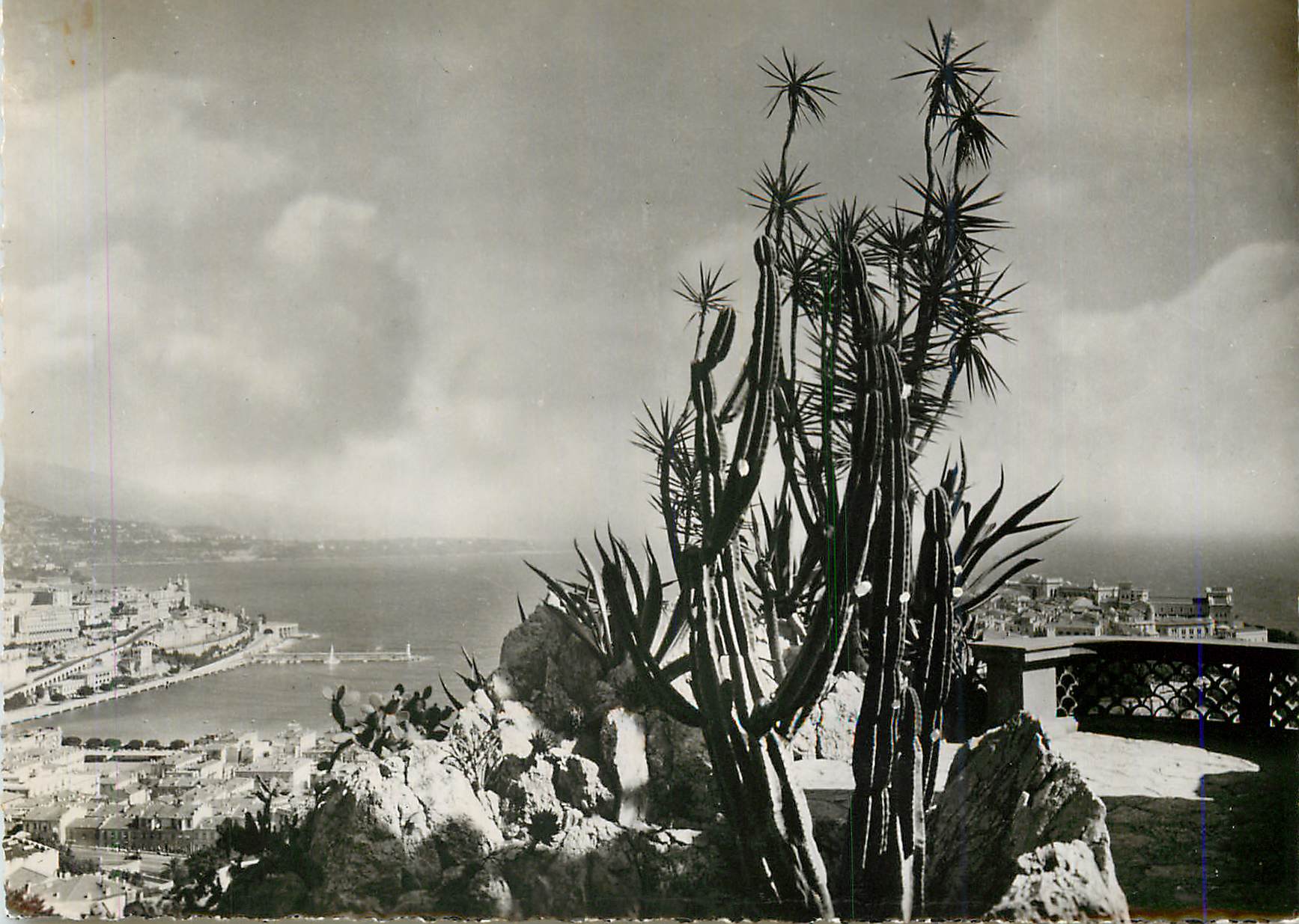 CPM Jardin Exotique de Monaco la Pricipaute de Monaco vue a travers les Cereus Yuccas du jardin Exotique