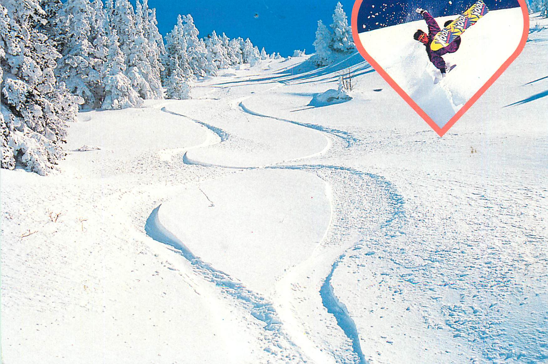 CPM Neige et Arbre