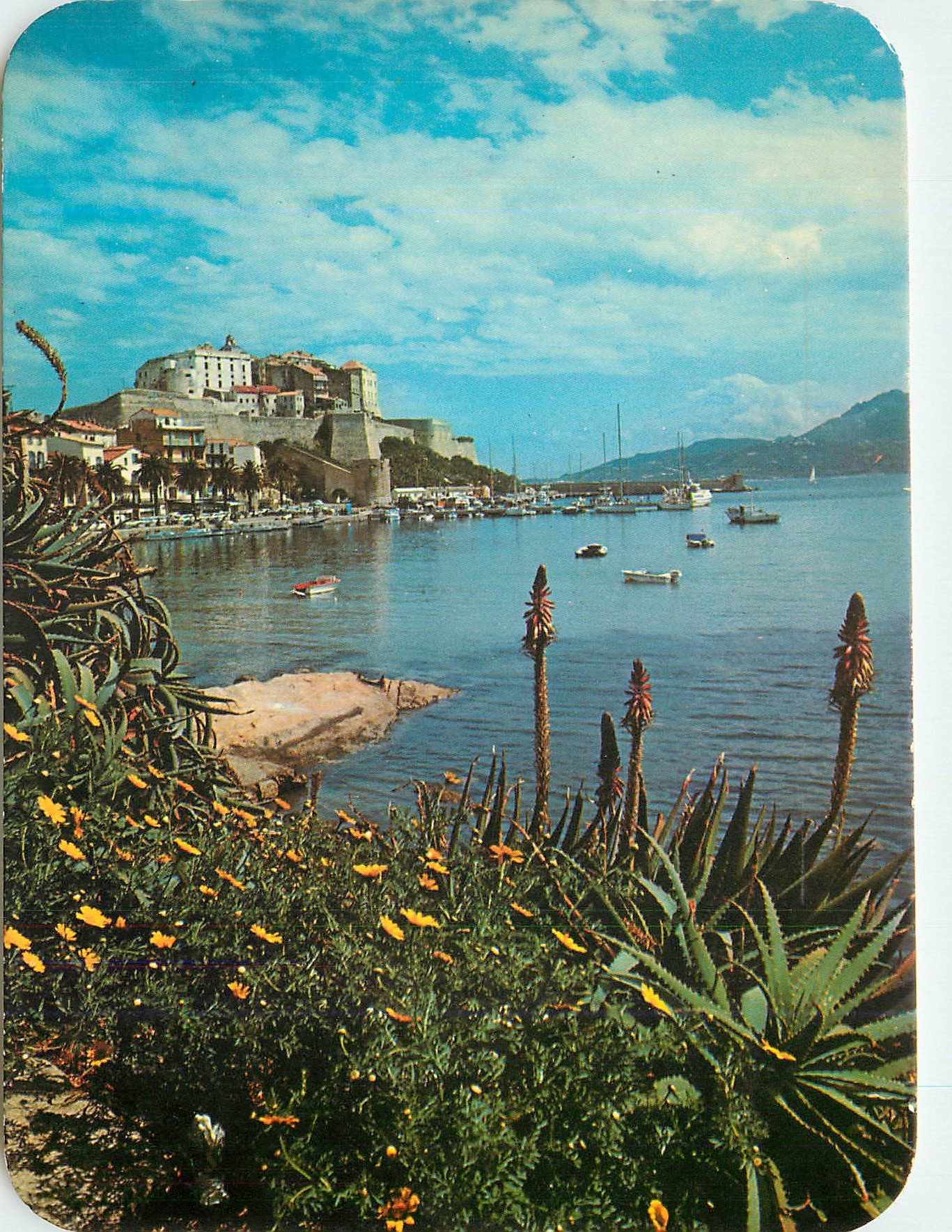 CPM Panorama de la Corse La Citadelle vue du jardin public