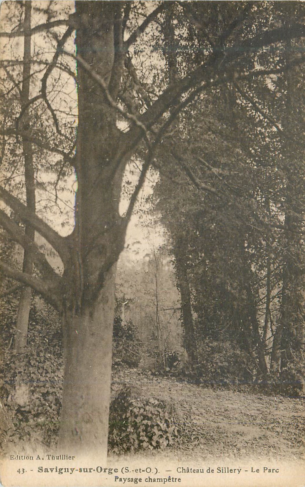 CPA Savigny sur Orge (S et O) Chateau de Sillery Le Parc Paysage Champetre