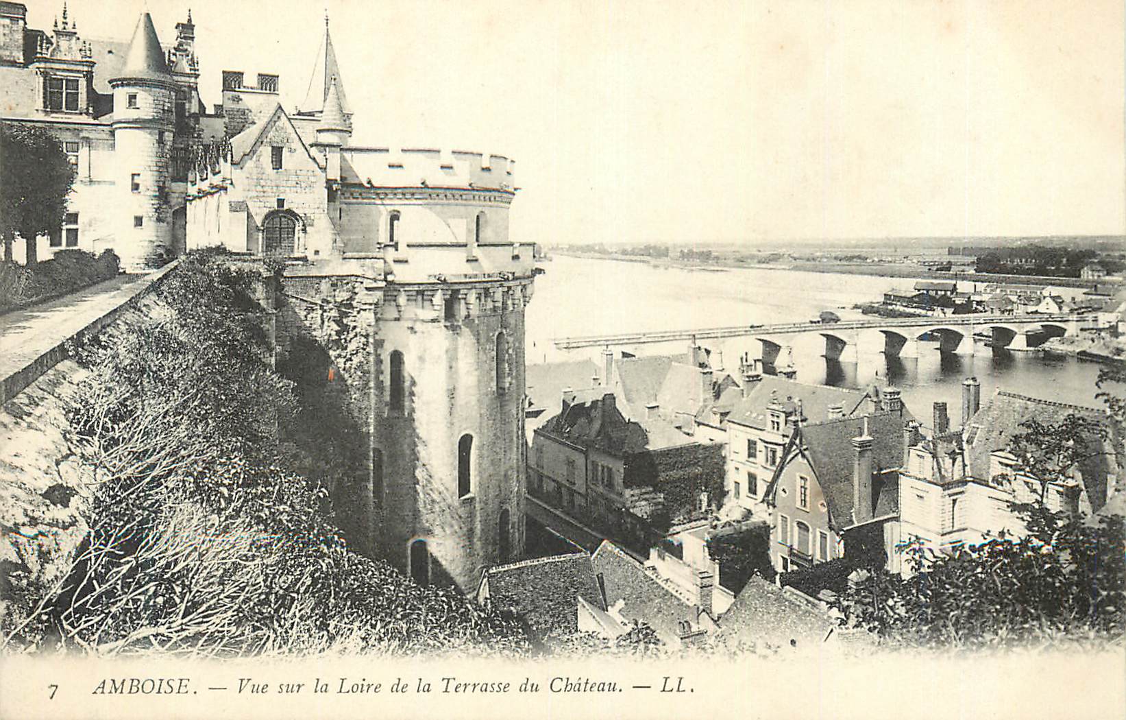 CPA Amboise Vue sur la Loire de la Terrasse du Chateau