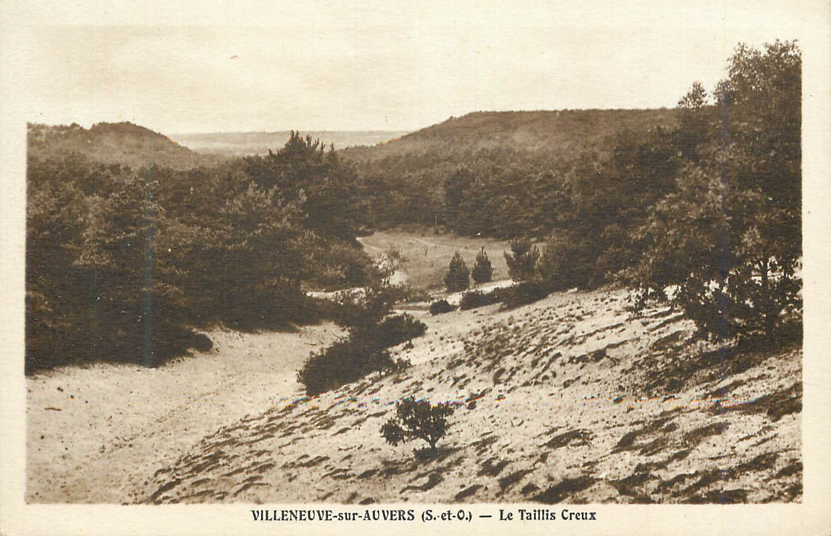 CPA Villeneuve sur Auvers (S et O) Le Taillis Creux