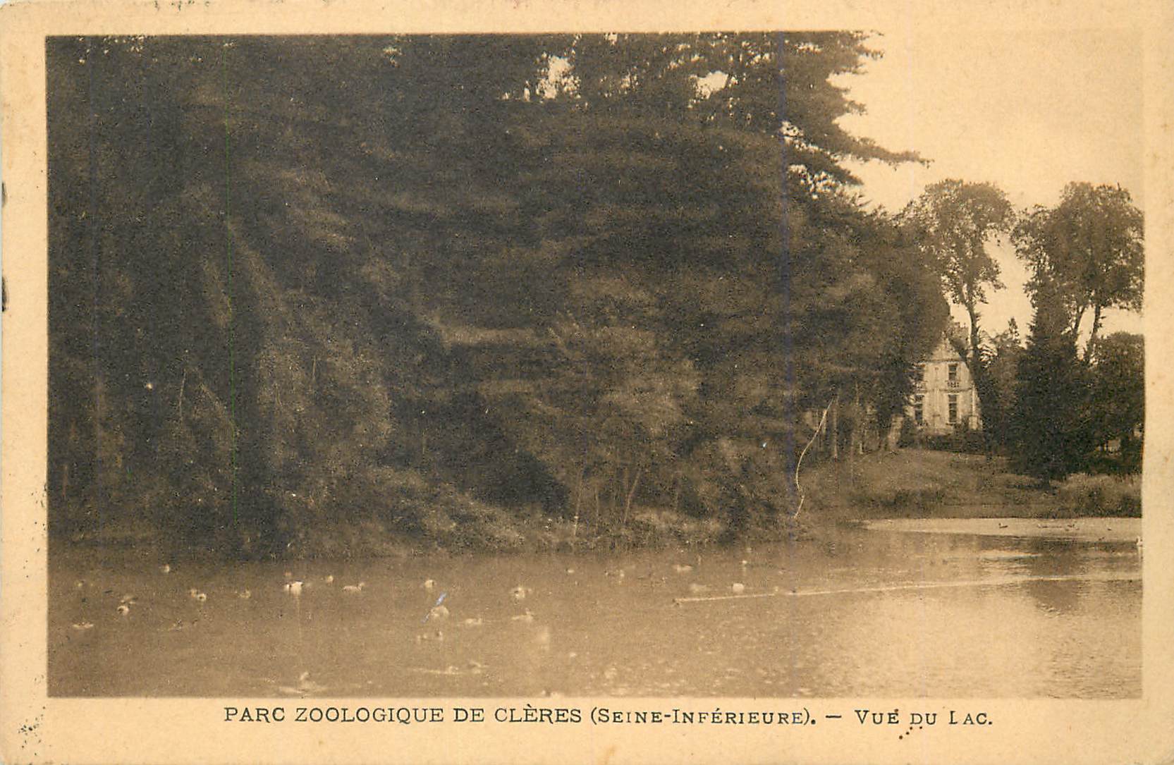 CPA Parc Zoologique de Cleres (Seine Inferieure) Vue du Lac