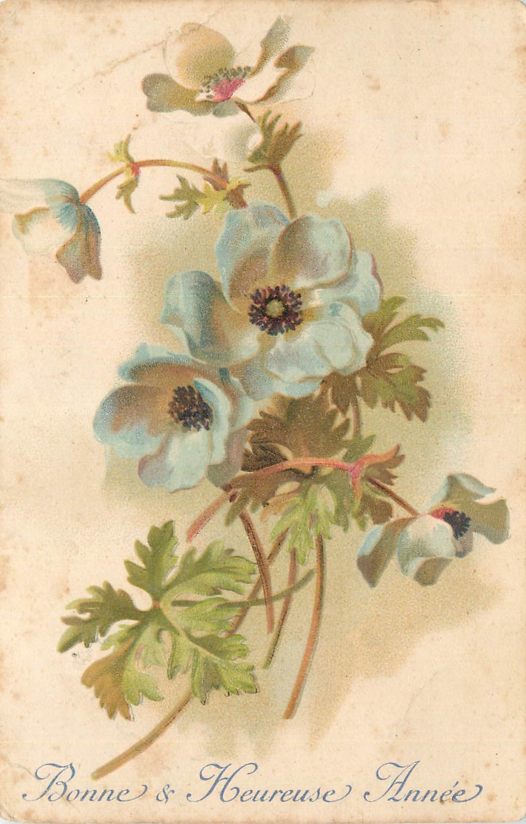 CPA Fleurs