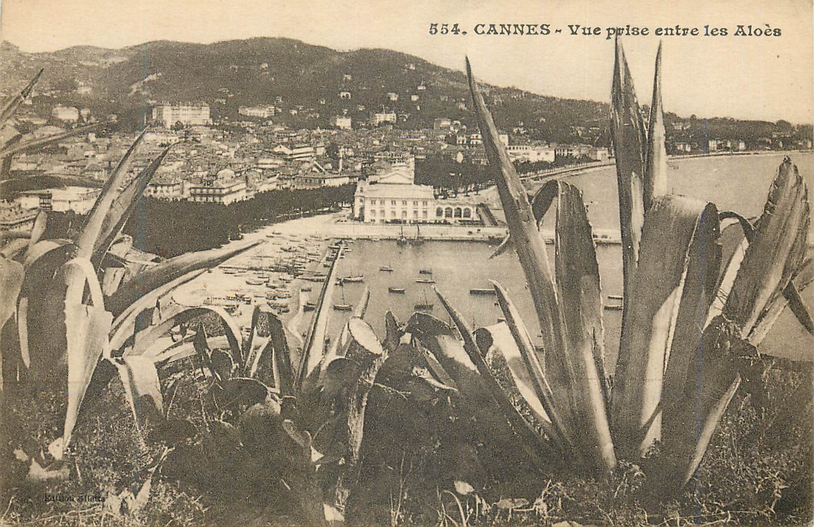 CPA Cannes vue prise entre les Aloes