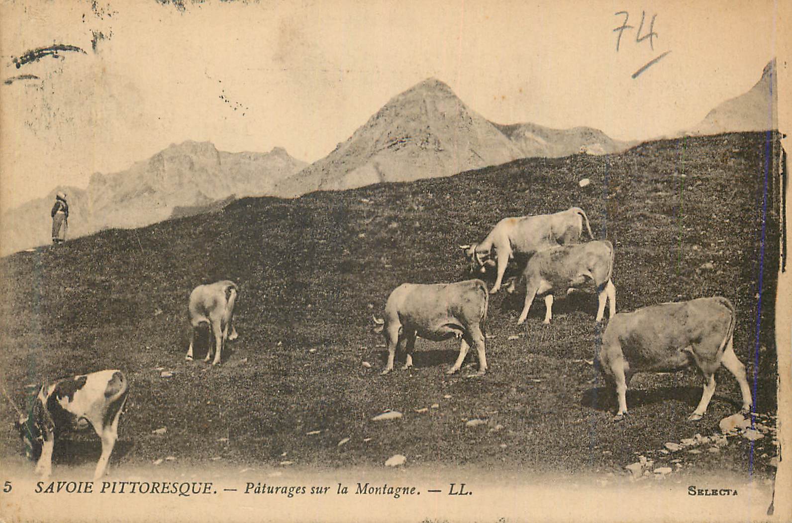 CPA Savoie Pittoresque Paturages sur la Montagne Vaches