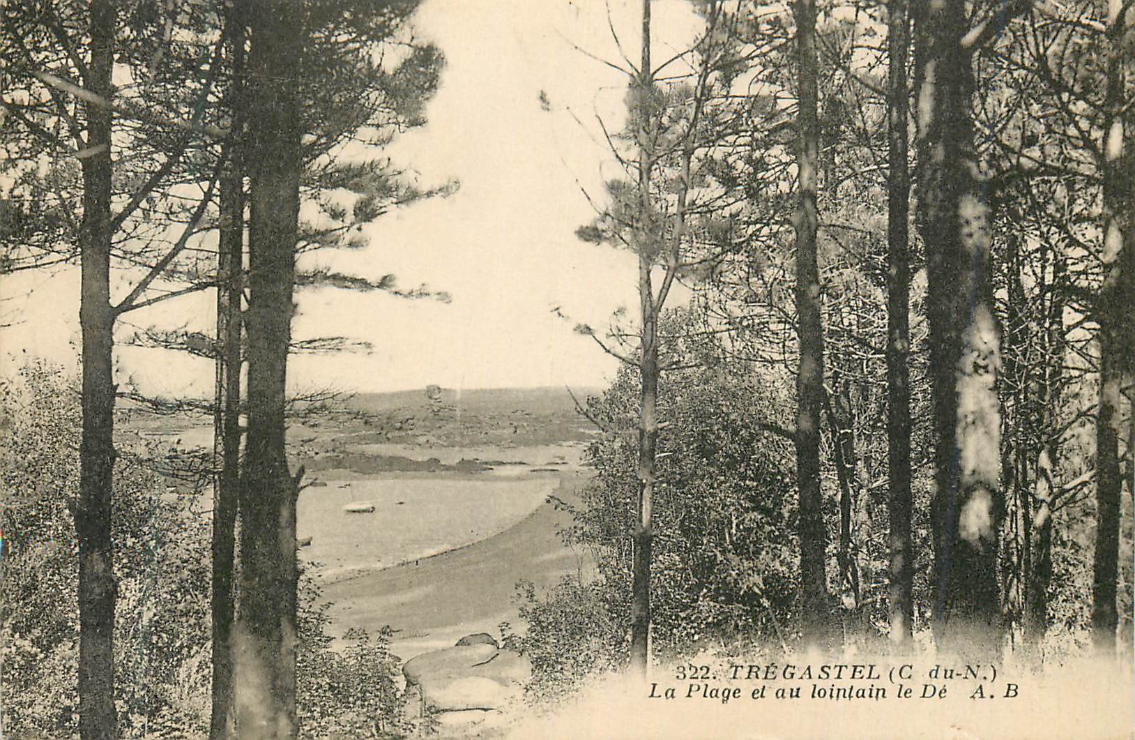 CPA Tregastel (C du N) La Plage et au Lointain le De