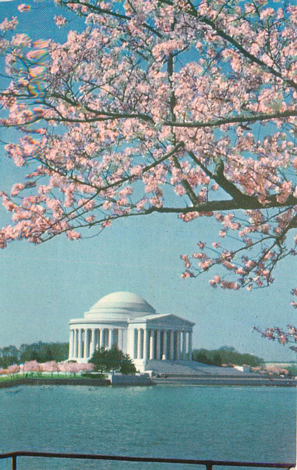 CPM Jefferson Memorial Washington D C This lonic Temple of white marble designed according to the taste displayed by Tho