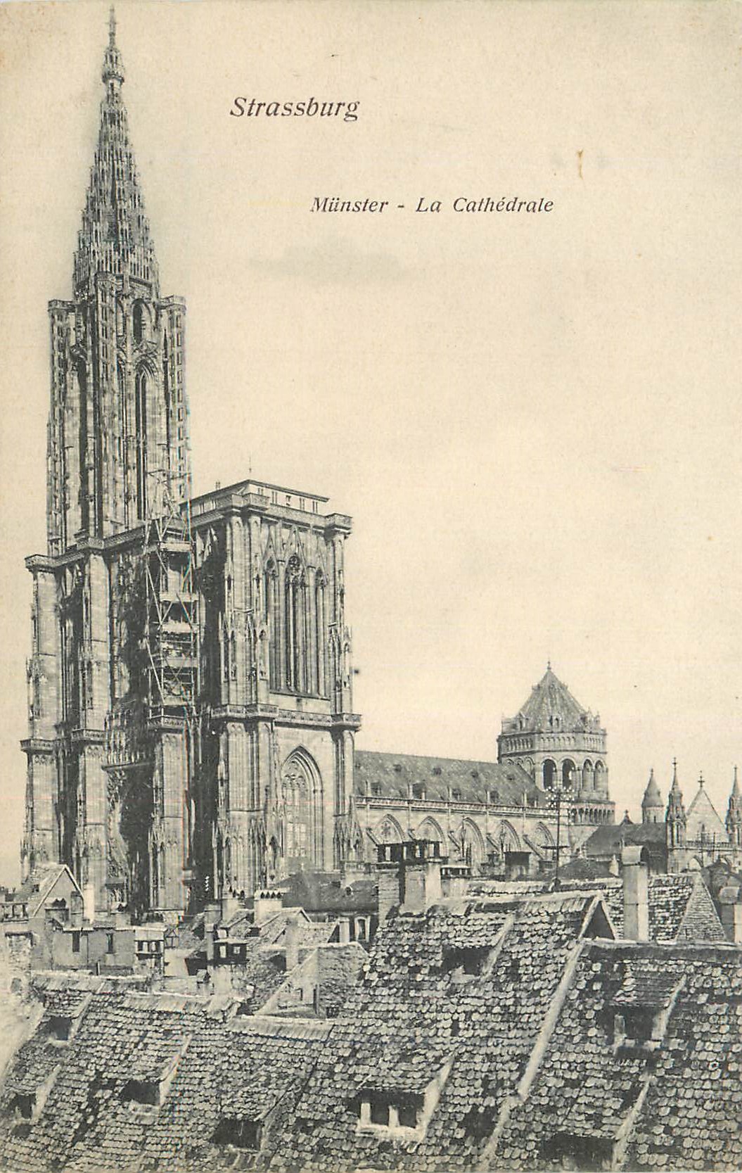 CPA Strassburg Munster La Cathedrale