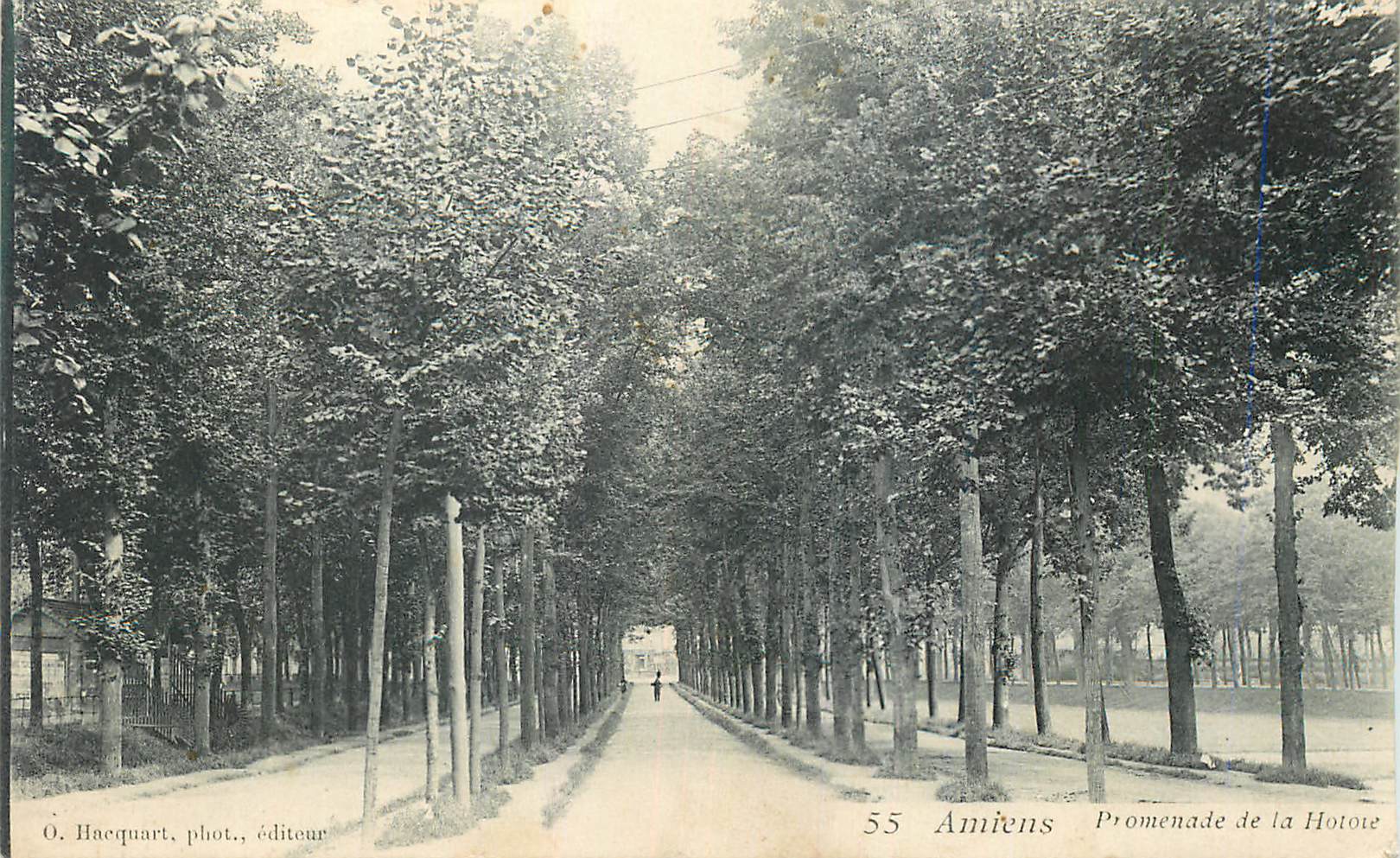 CPA Amiens Promenade de la Hotoie