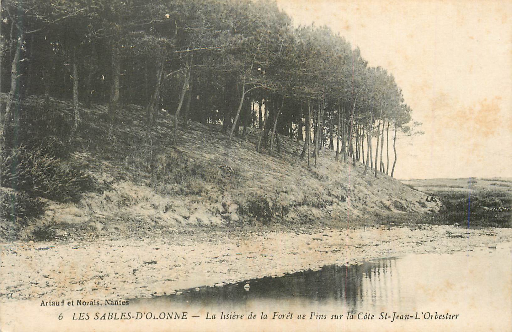 Les Sables-d'Olonne — La lisière de la forêt de pins sur la côte St-Jean-L'Orbestier