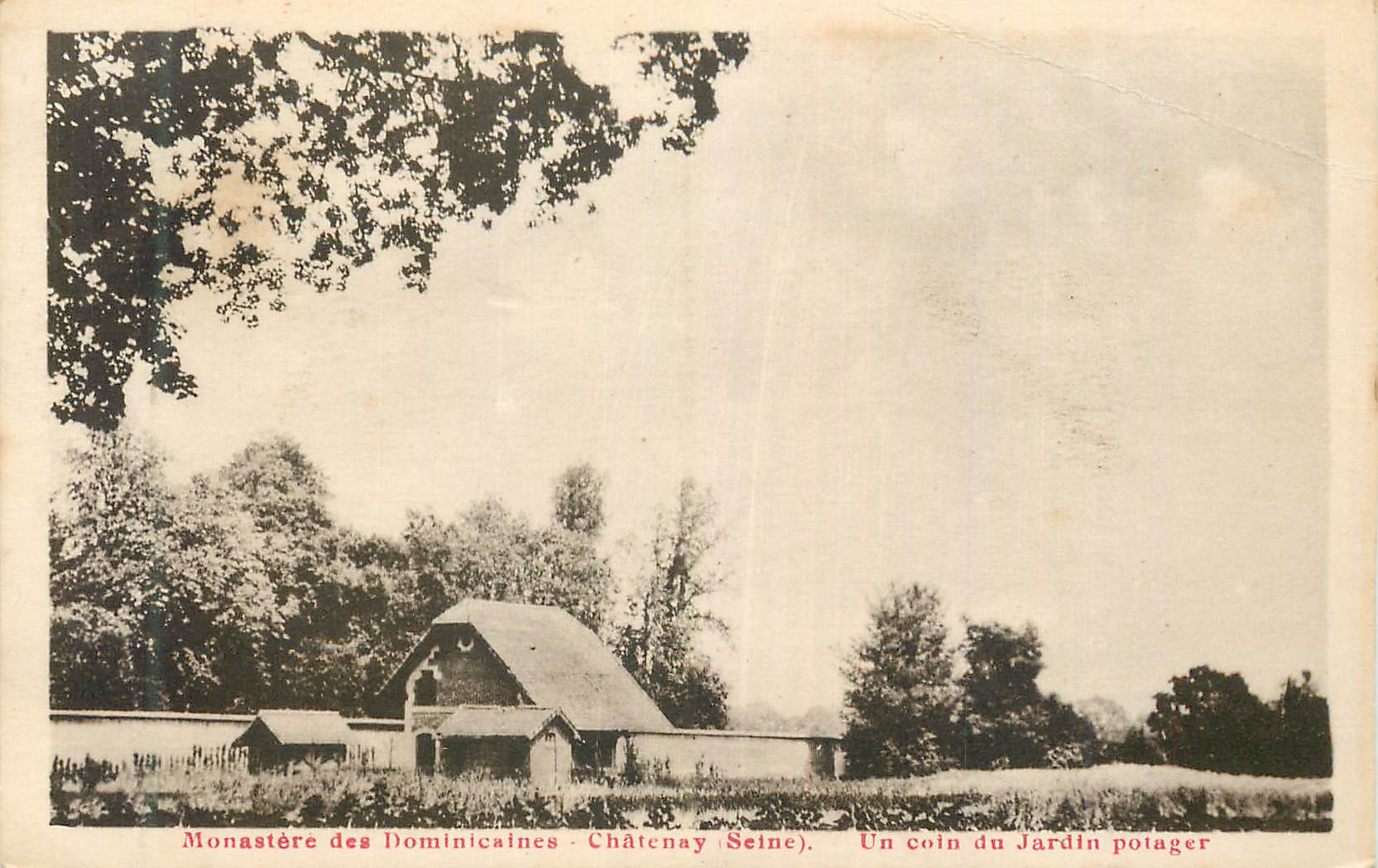 CPA Monastere des Dominicaines Chatenay Seine Un coin du Jardin potager