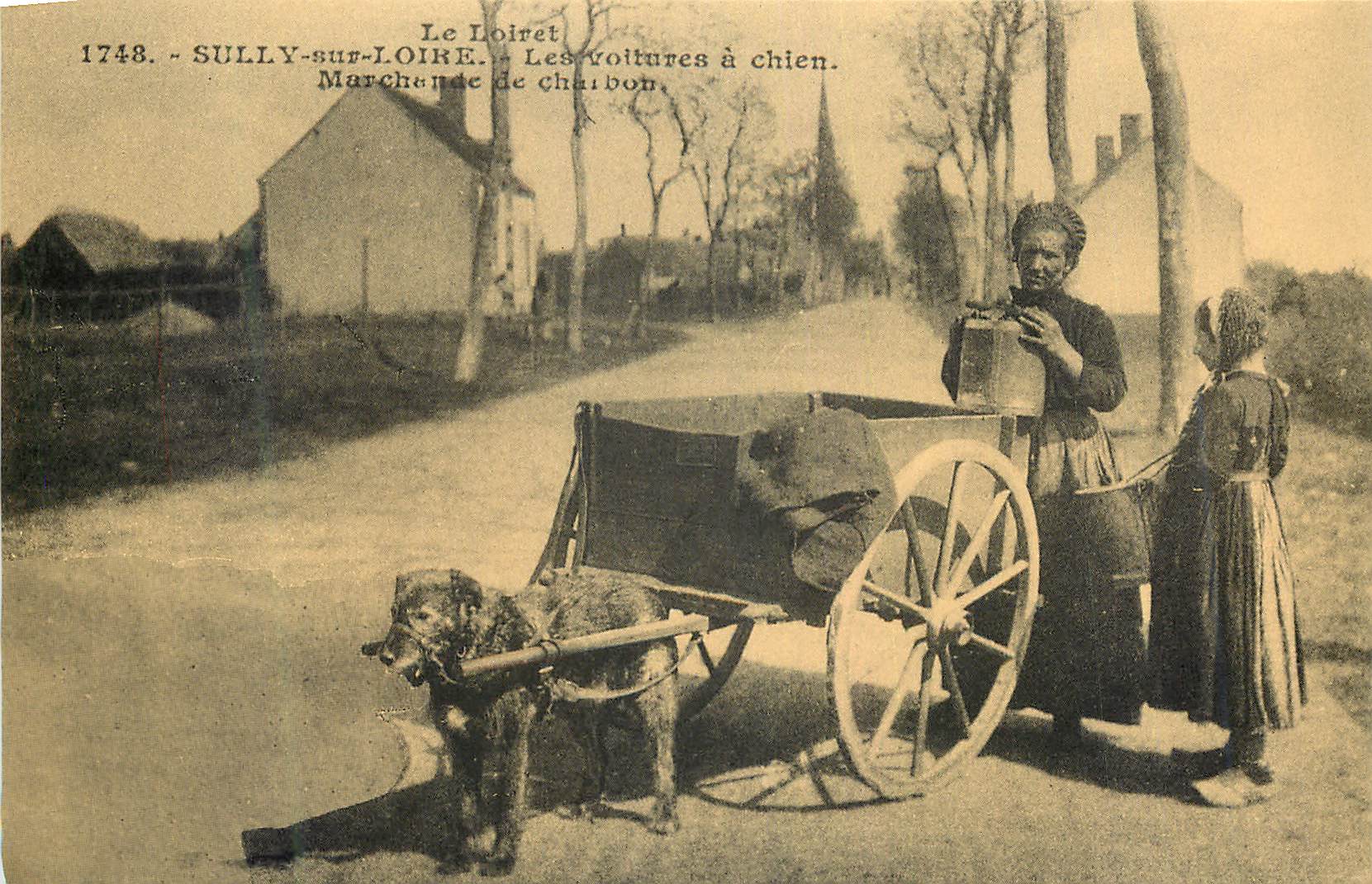 REPRO Le Loiret Sully sur Loire Les voitures a chien Marchande de charbon Folklore
