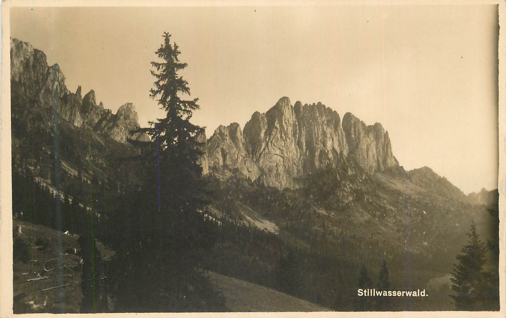 CPM Stillwasserwald