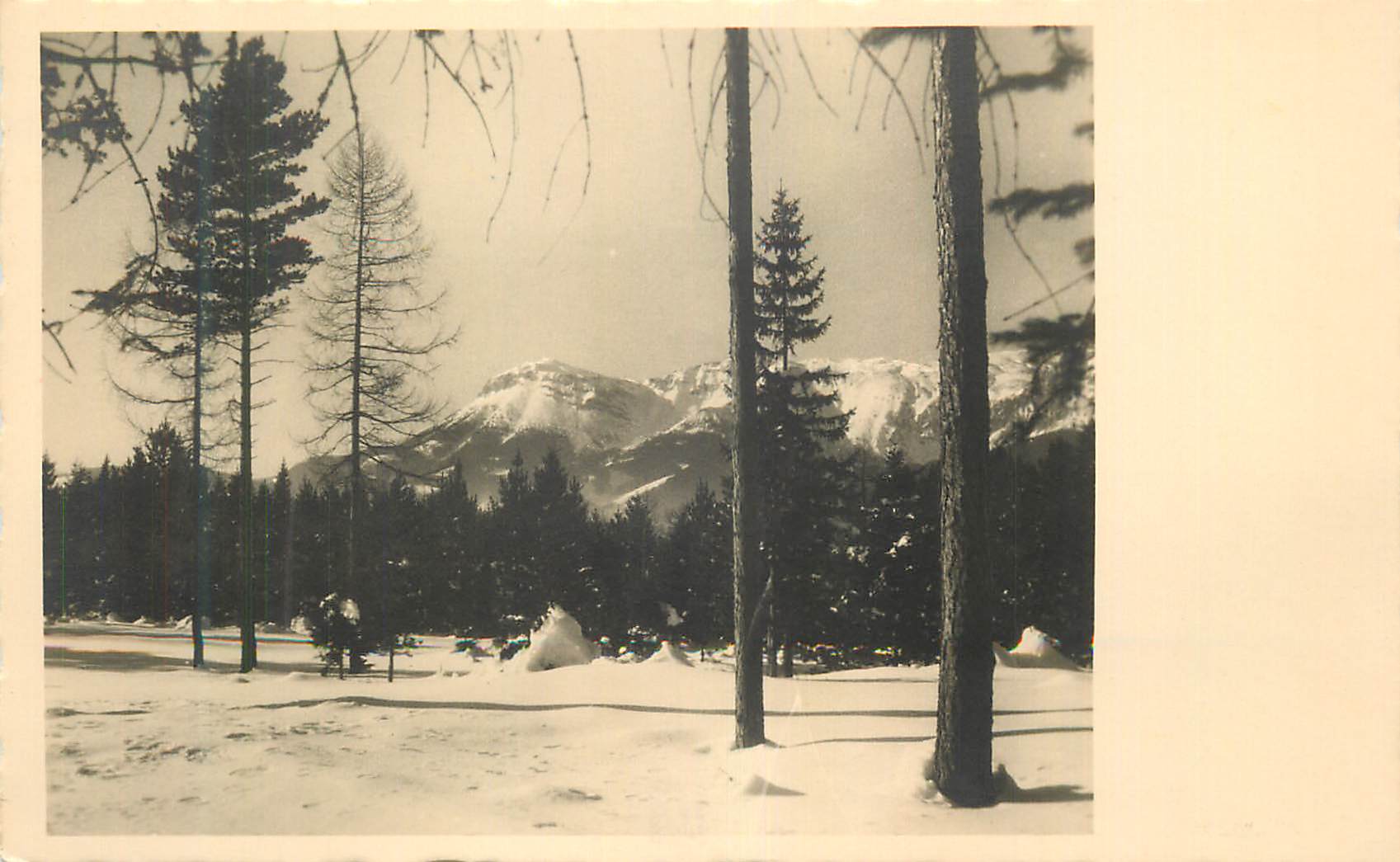 CPM Montagnes Arbres