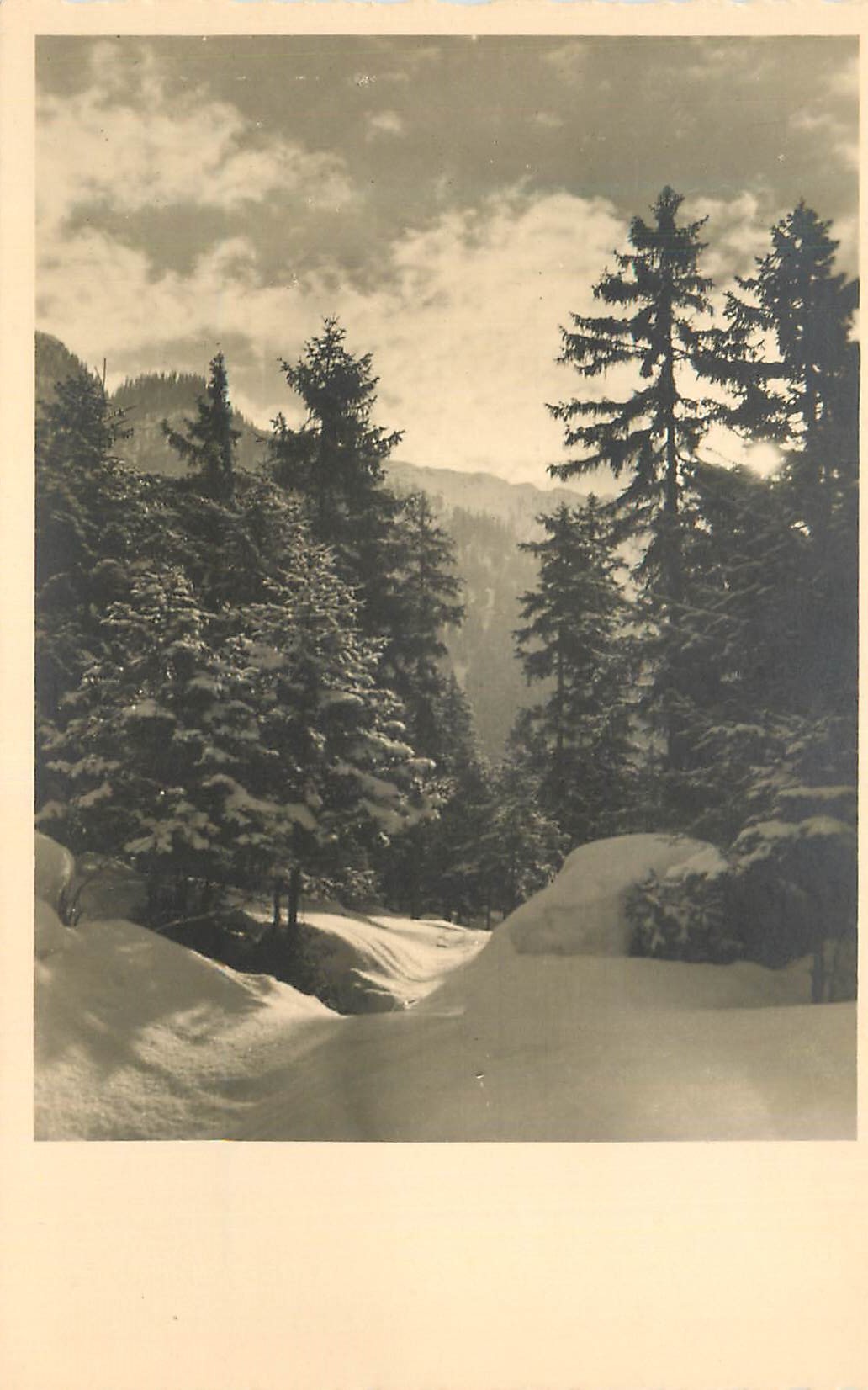CPM Montagnes Arbres