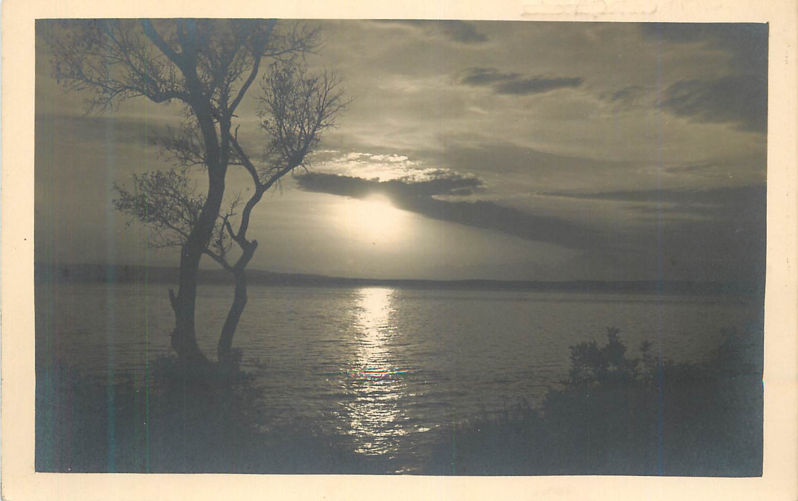 Arbre solitaire au bord d'un lac — scène de coucher de soleil — éditeur non identifiable