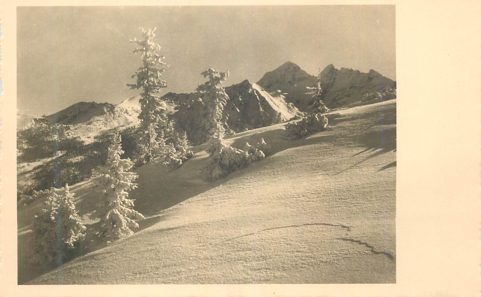 CPM Montagnes Arbres