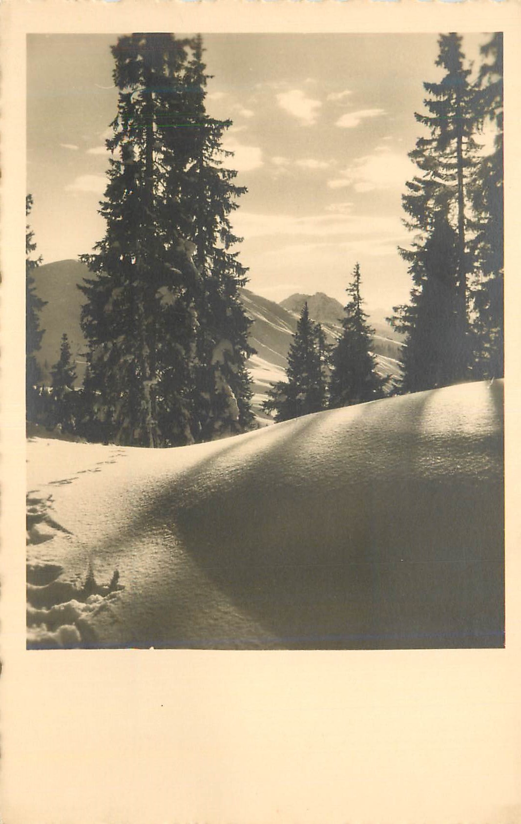 CPM Montagnes Arbres